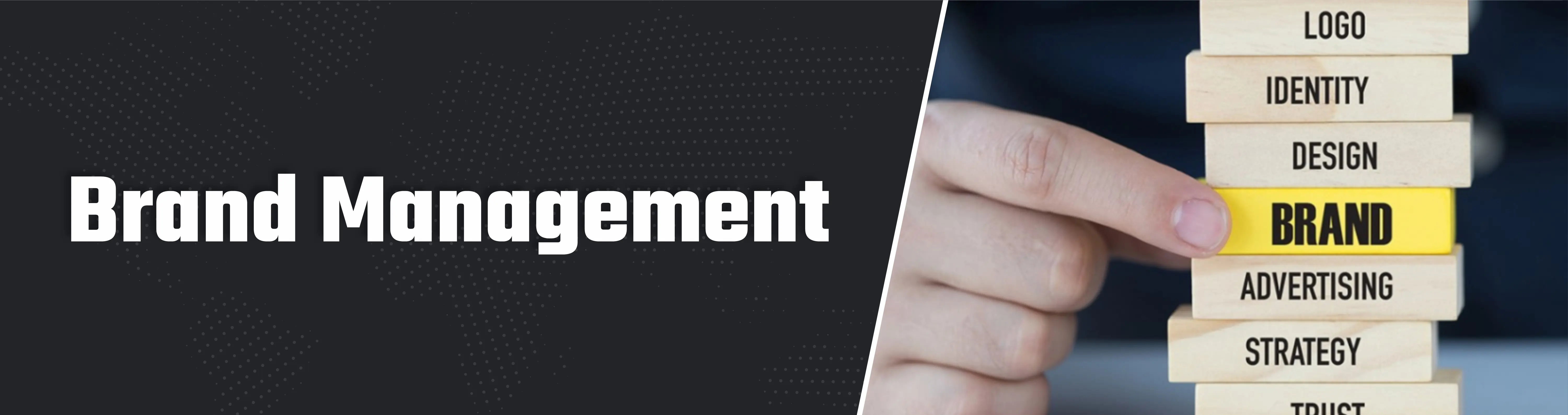 Brand Management Services in India by 7C'S Communication